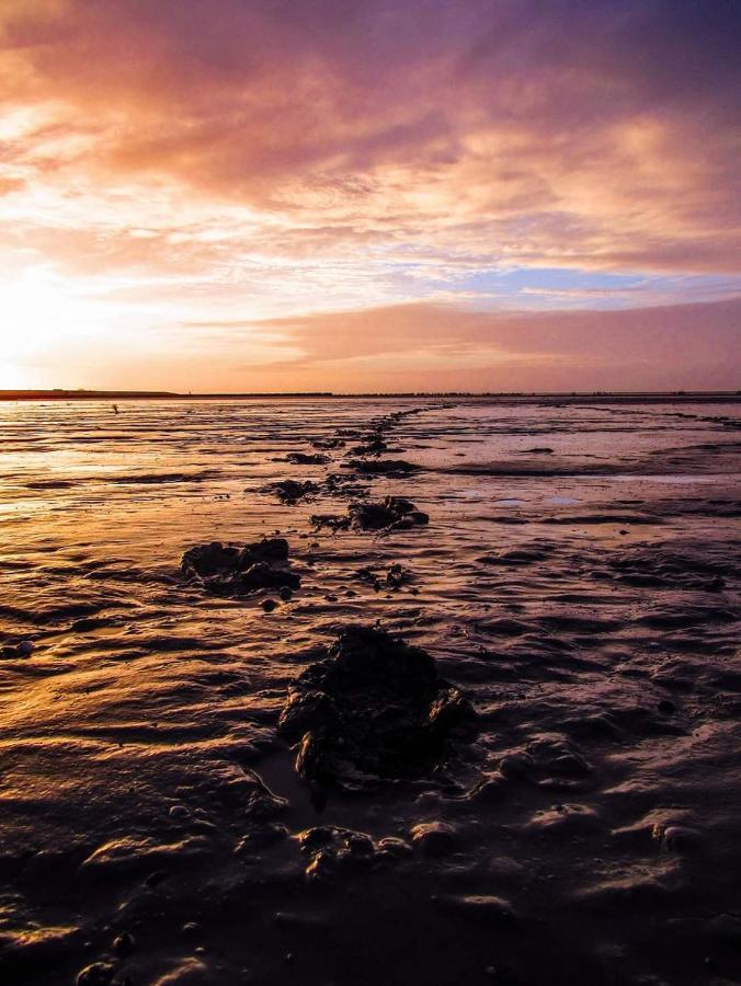 Vissershuisje Aan De Waddenzee Paesens Luaran gambar
